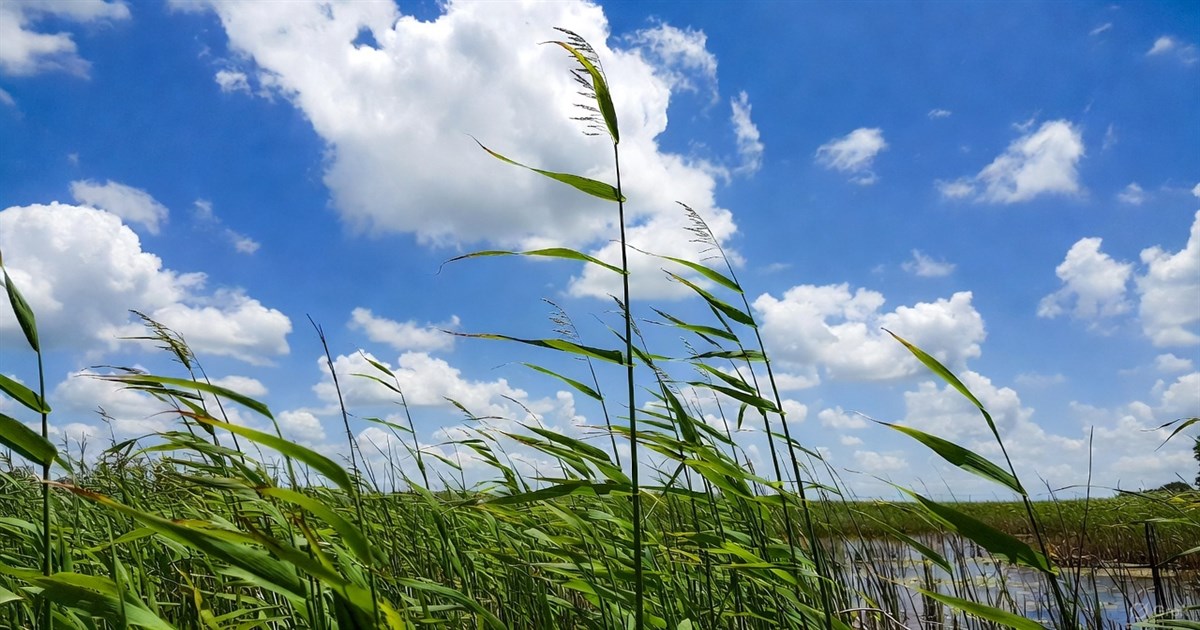 Ascended Glorified Christ